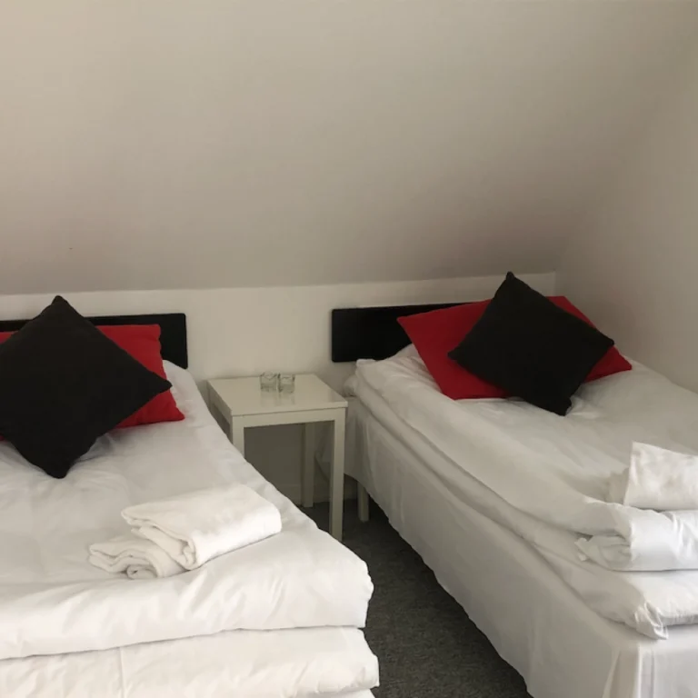 familiehus-skal-beskæres-da-der-er-for-meget-__loft__-med-f2b98200